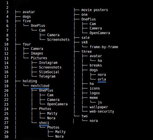 Terminal output of photos folder structure